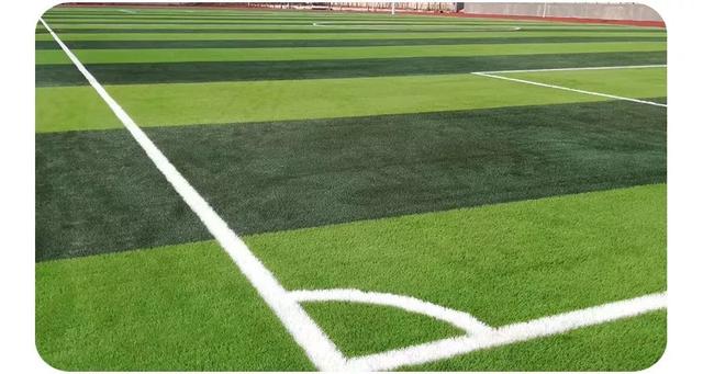  昂热主场草皮质量问题引发投诉  